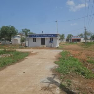 FARM ENTRY TICKET